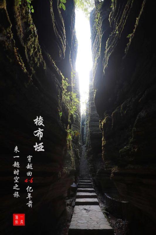 探探猫宝石岛