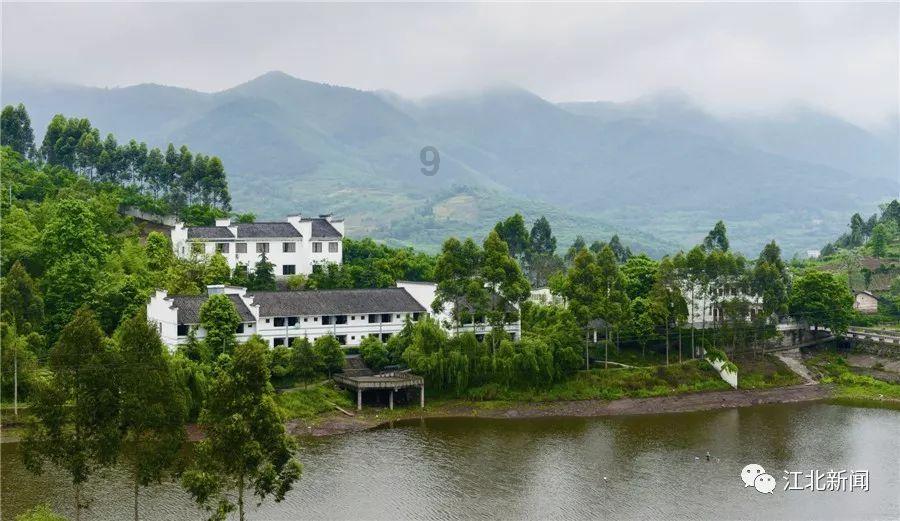 逗小猴开心系列203
